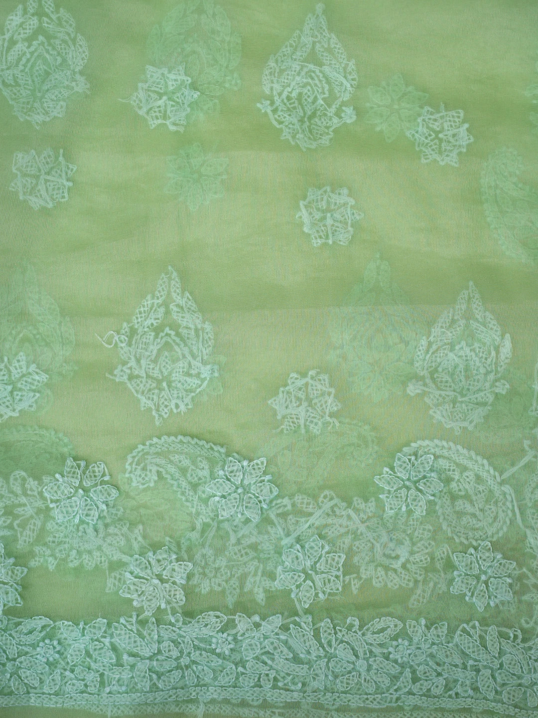 Ada Hand Embroidered Pistachio Green Organza Lucknowi Chikankari Saree With Blouse 01A818230