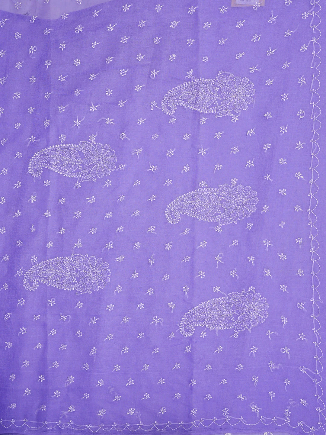 Ada Hand Embroidered Mauve Cotton Lucknowi Chikankari Saree and Blouse 01A854446