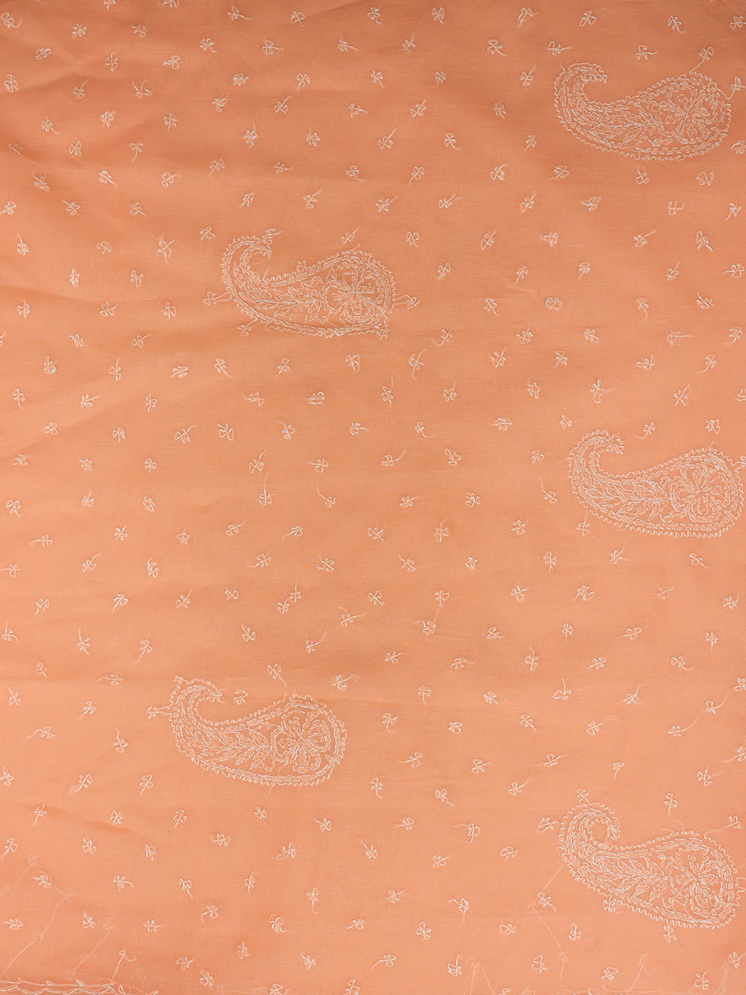 Ada Hand Embroidered Peach Cotton Lucknowi Chikankari Saree and Blouse 01A854481