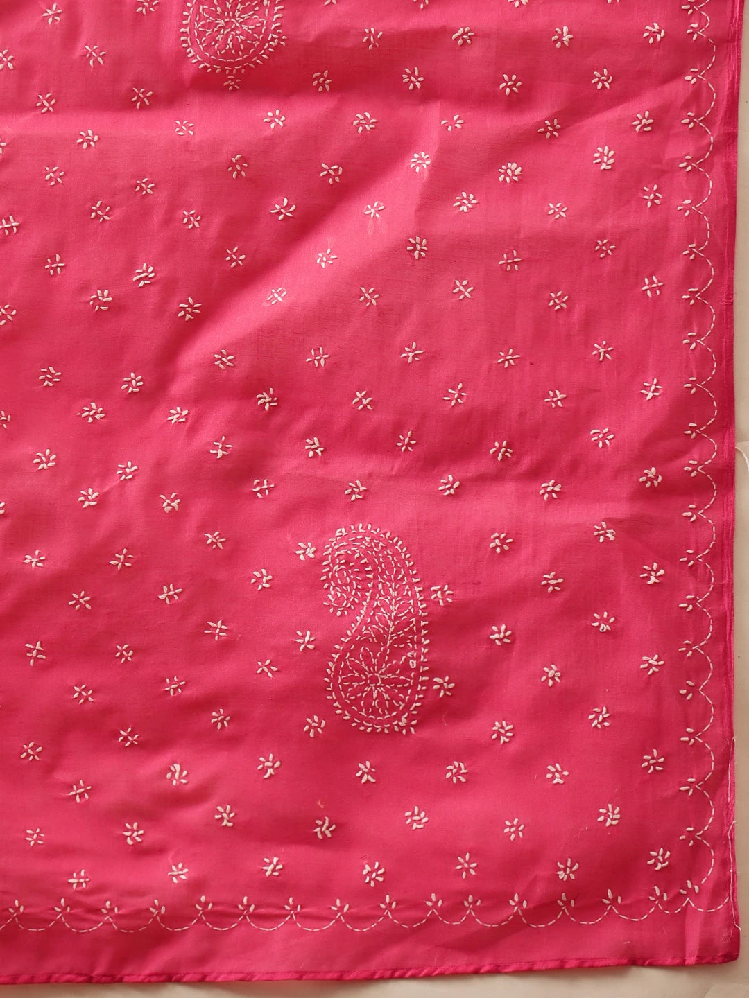 Ada Hand Embroidered Magenta Cotton Lucknowi Chikankari Saree and Blouse 01A854463