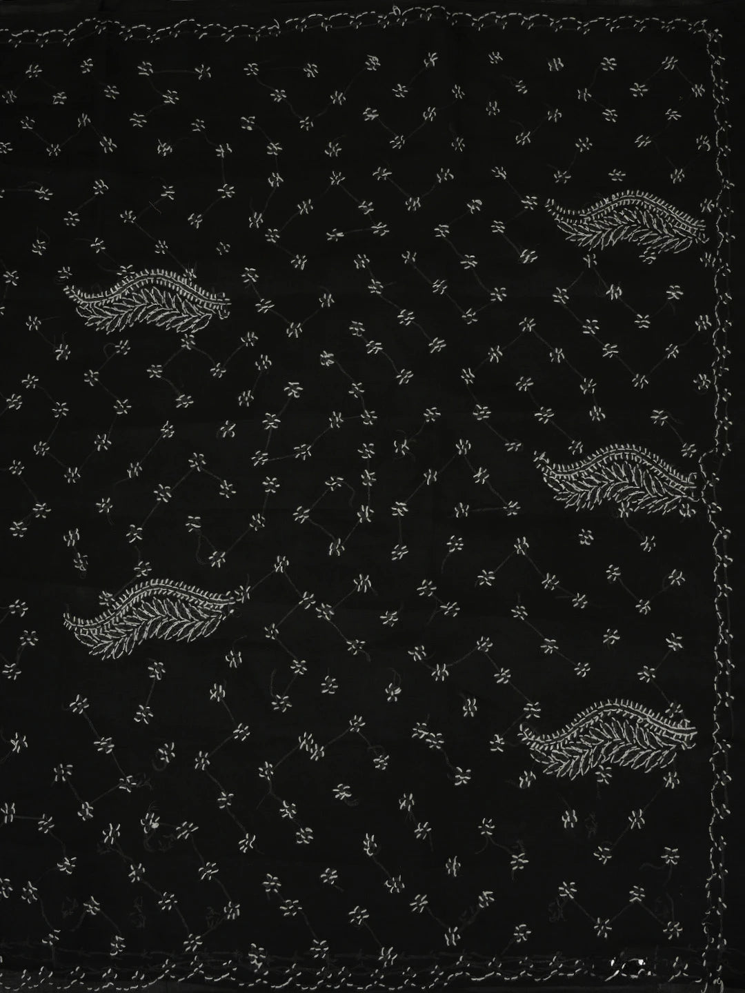 Ada Hand Embroidered Black Cotton Lucknowi Chikankari Saree With Blouse 01A882930