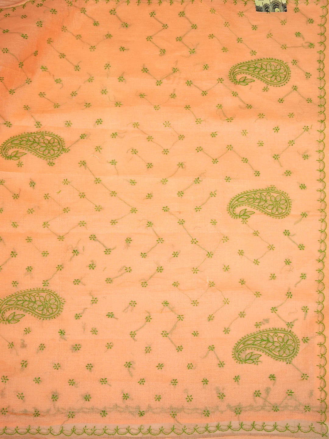 Ada Hand Embroidered Orange Cotton Lucknowi Chikankari Saree and Blouse 01A882925