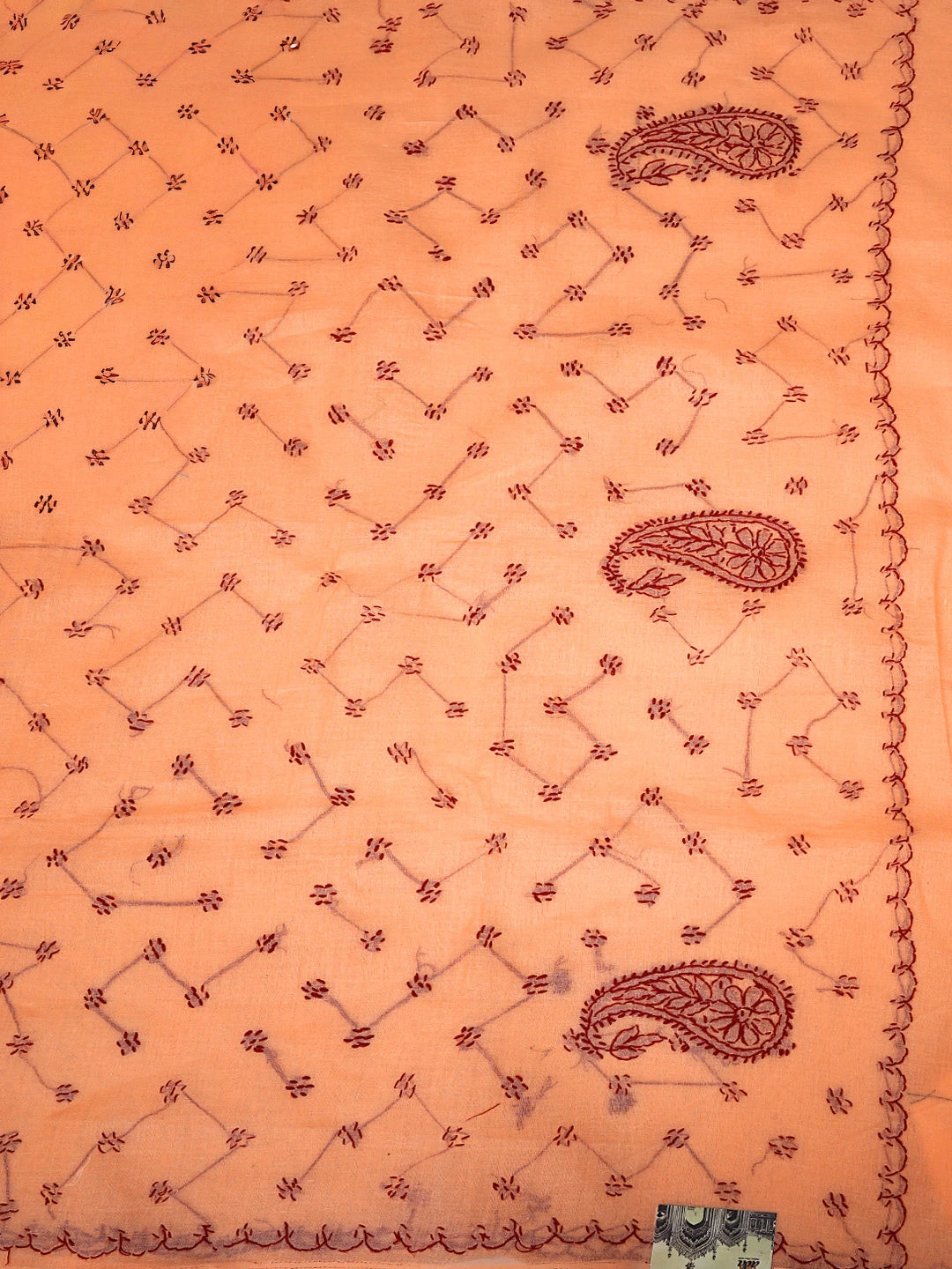 Ada Hand Embroidered Orange Cotton Lucknowi Chikankari Saree and Blouse 01A882926