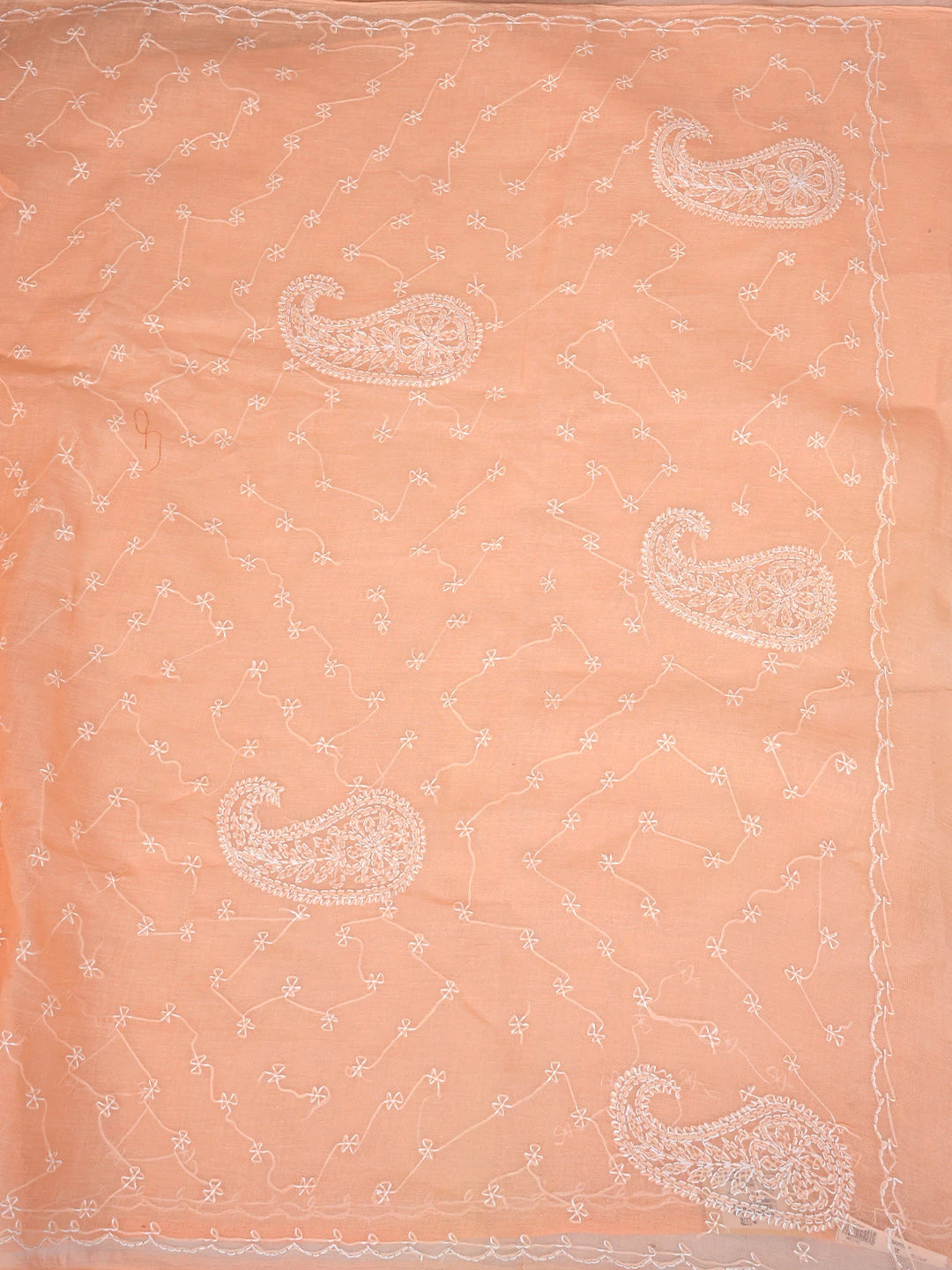 Ada Hand Embroidered Peach Cotton Lucknowi Chikankari Saree and Blouse 01A882924
