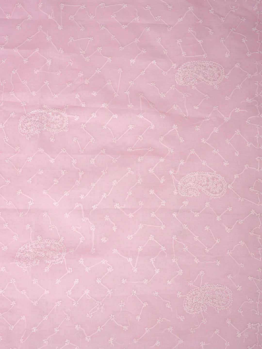Ada Hand Embroidered Baby Pink Cotton Lucknowi Chikankari Saree and Blouse 01A882906