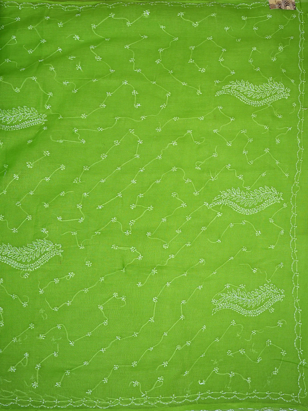 Ada Hand Embroidered Green Cotton Lucknowi Chikankari Saree and Blouse 01A882870
