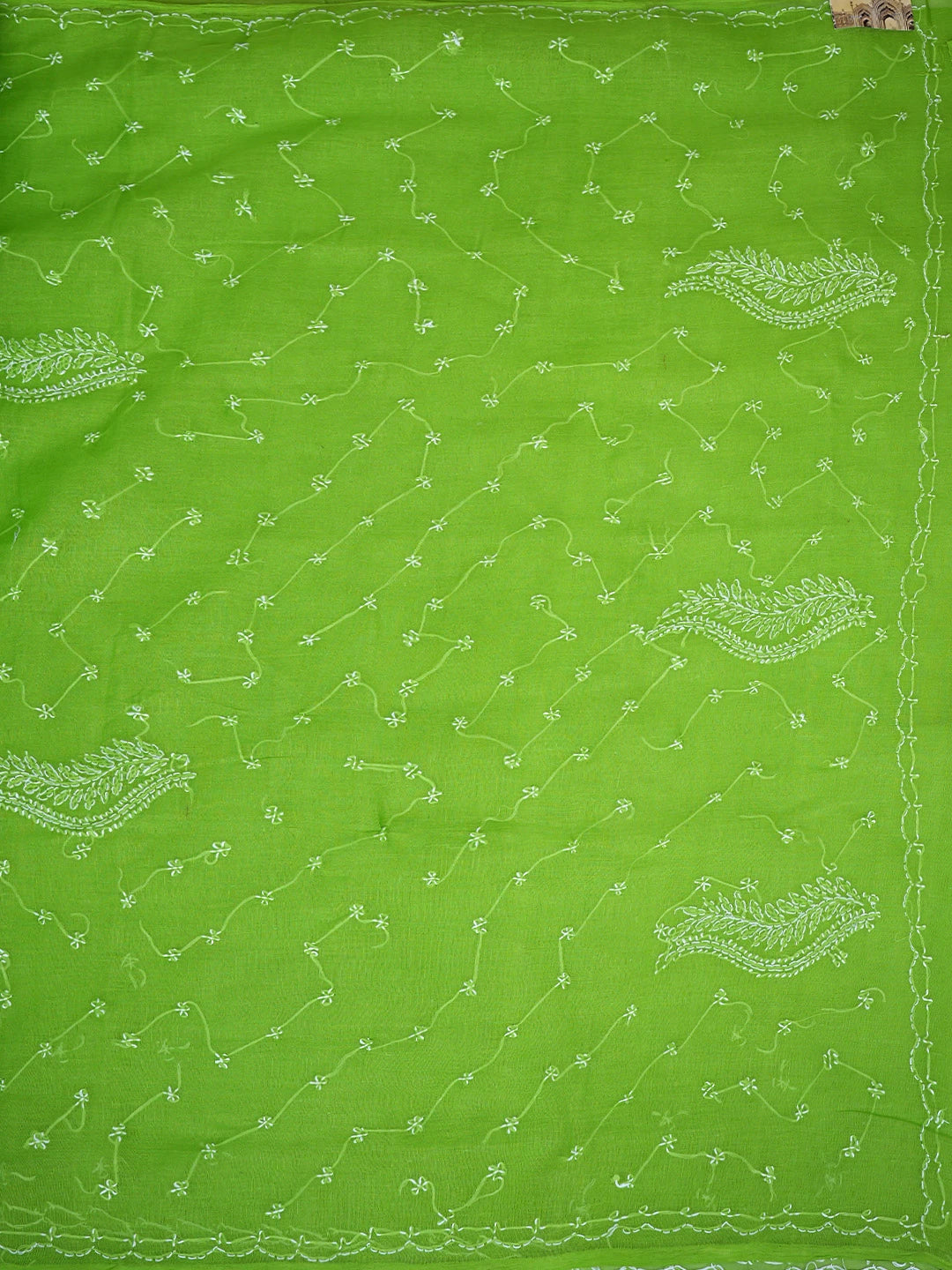 Ada Hand Embroidered Green Cotton Lucknowi Chikankari Saree and Blouse 01A882870