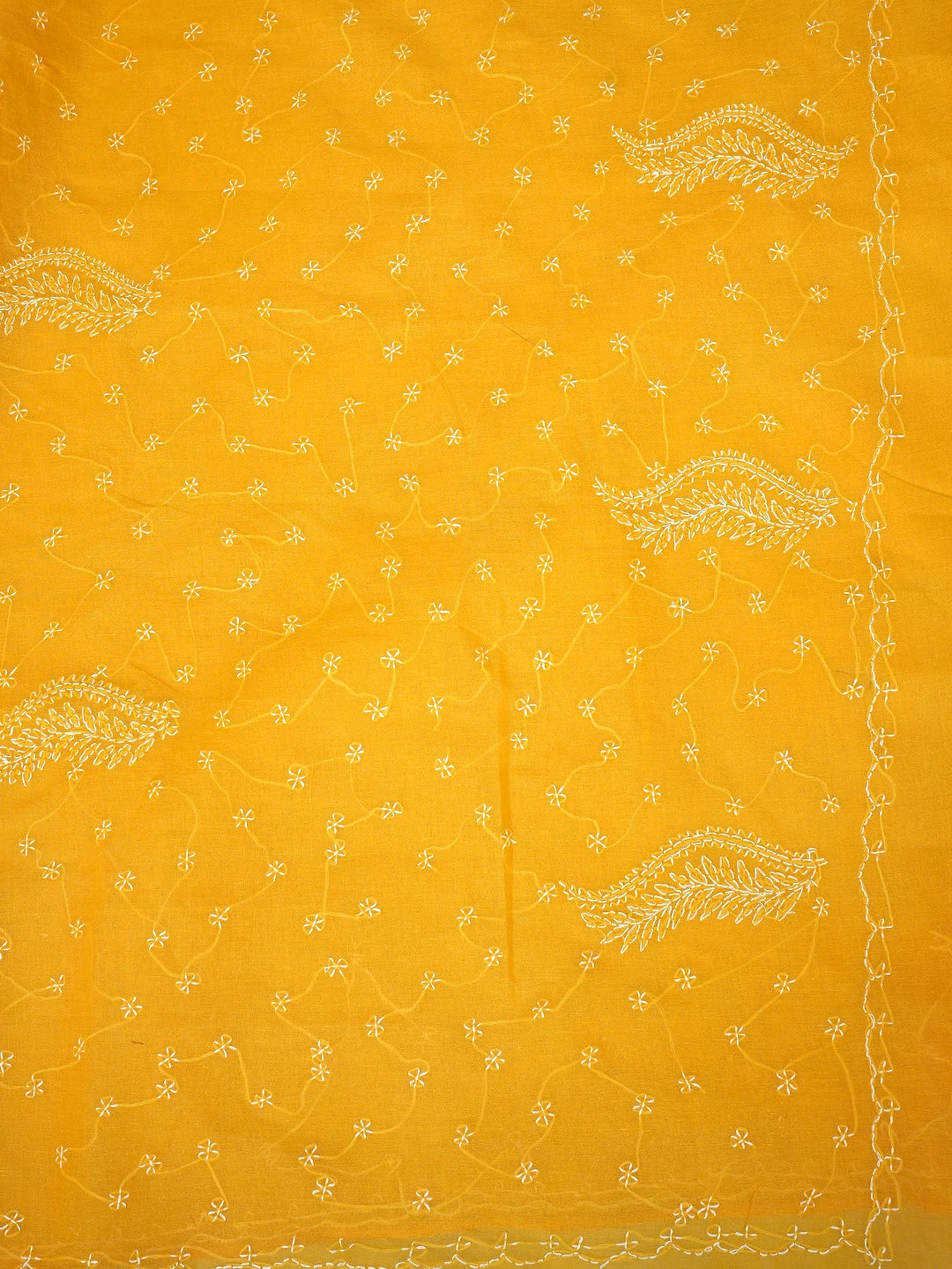 Ada Hand Embroidered Mustard Cotton Lucknowi Chikankari Saree and Blouse 01A882879