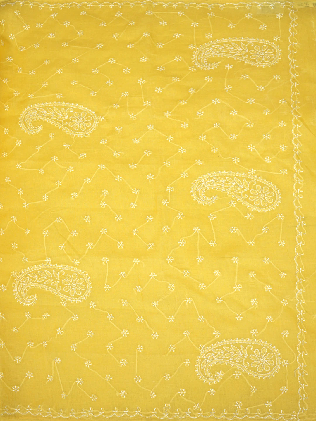 Ada Hand Embroidered Yellow Cotton Lucknowi Chikankari Saree and Blouse 01A882883