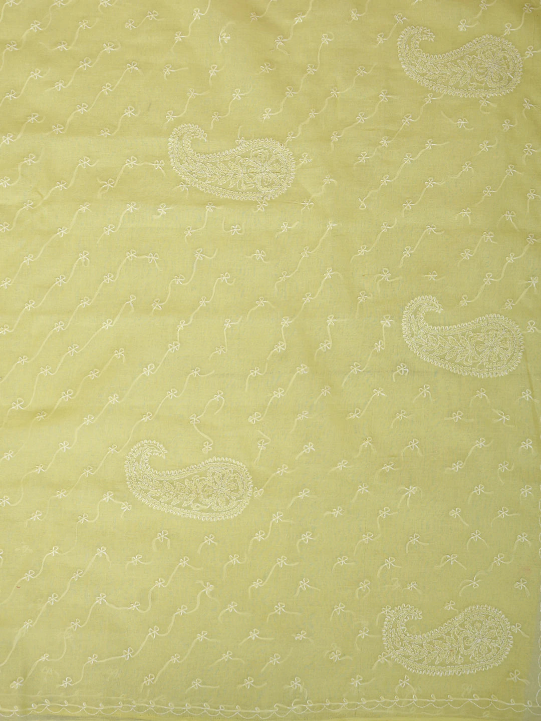Ada Hand Embroidered Lemon Cotton Lucknowi Chikankari Saree and Blouse 01A882913