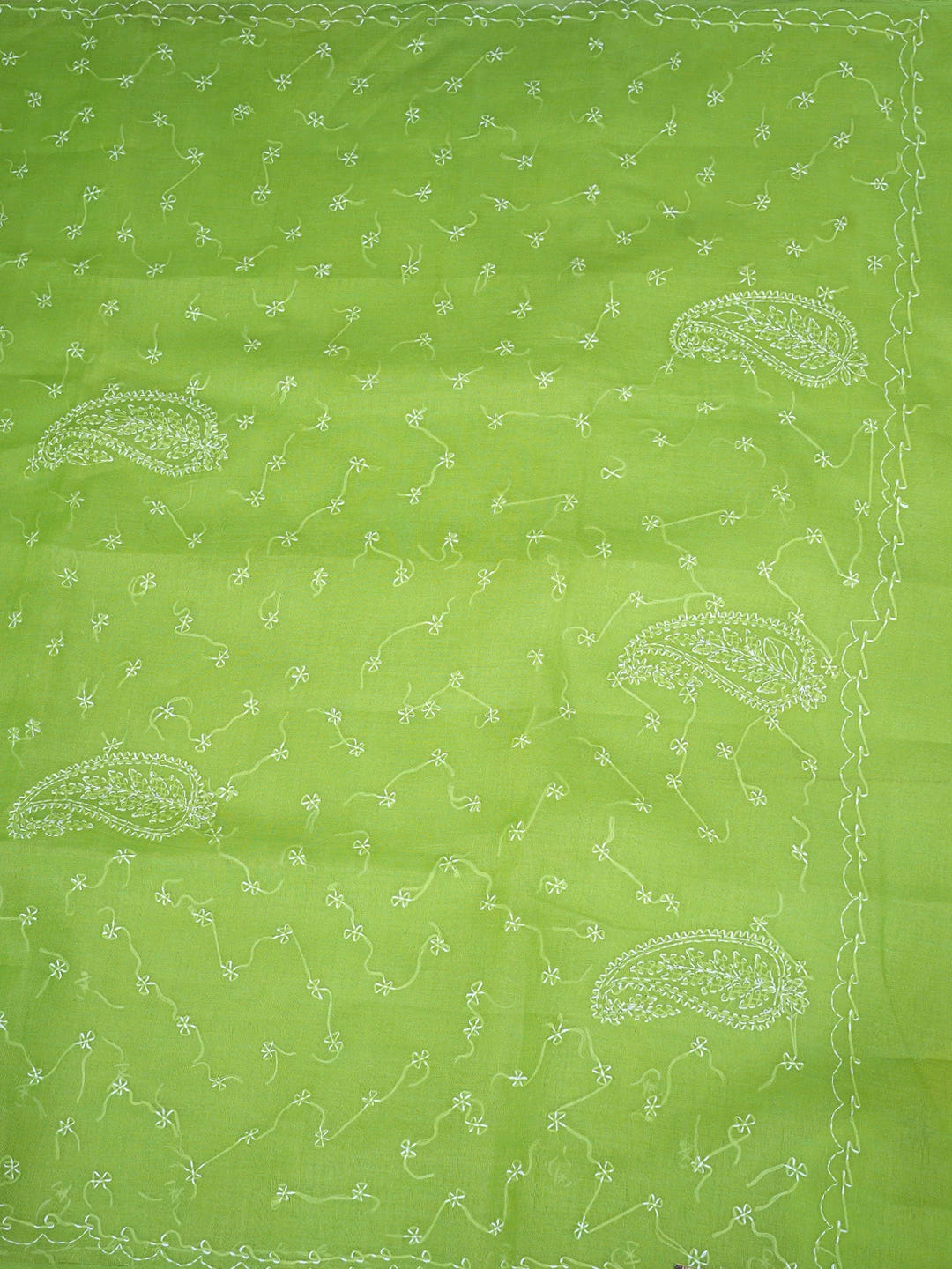 Ada Hand Embroidered Green Cotton Lucknowi Chikankari Saree and Blouse 01A882873