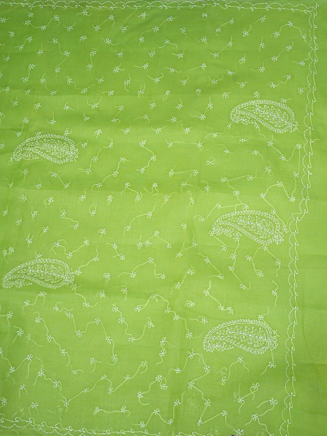 Ada Hand Embroidered Green Cotton Lucknowi Chikankari Saree and Blouse 01A882873