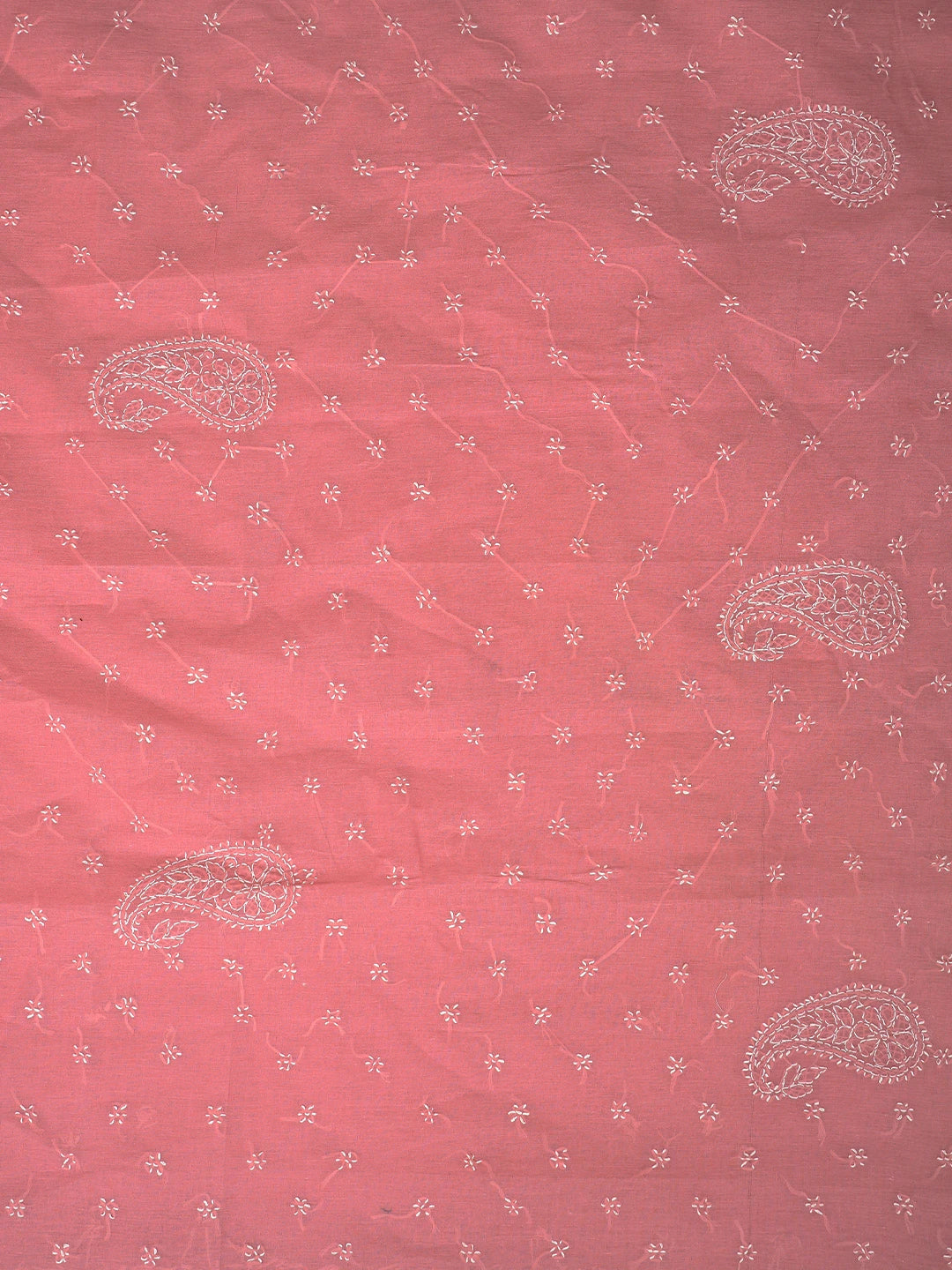 Ada Hand Embroidered Carrot Pink Cotton Lucknowi Chikankari Saree and Blouse 01A882909