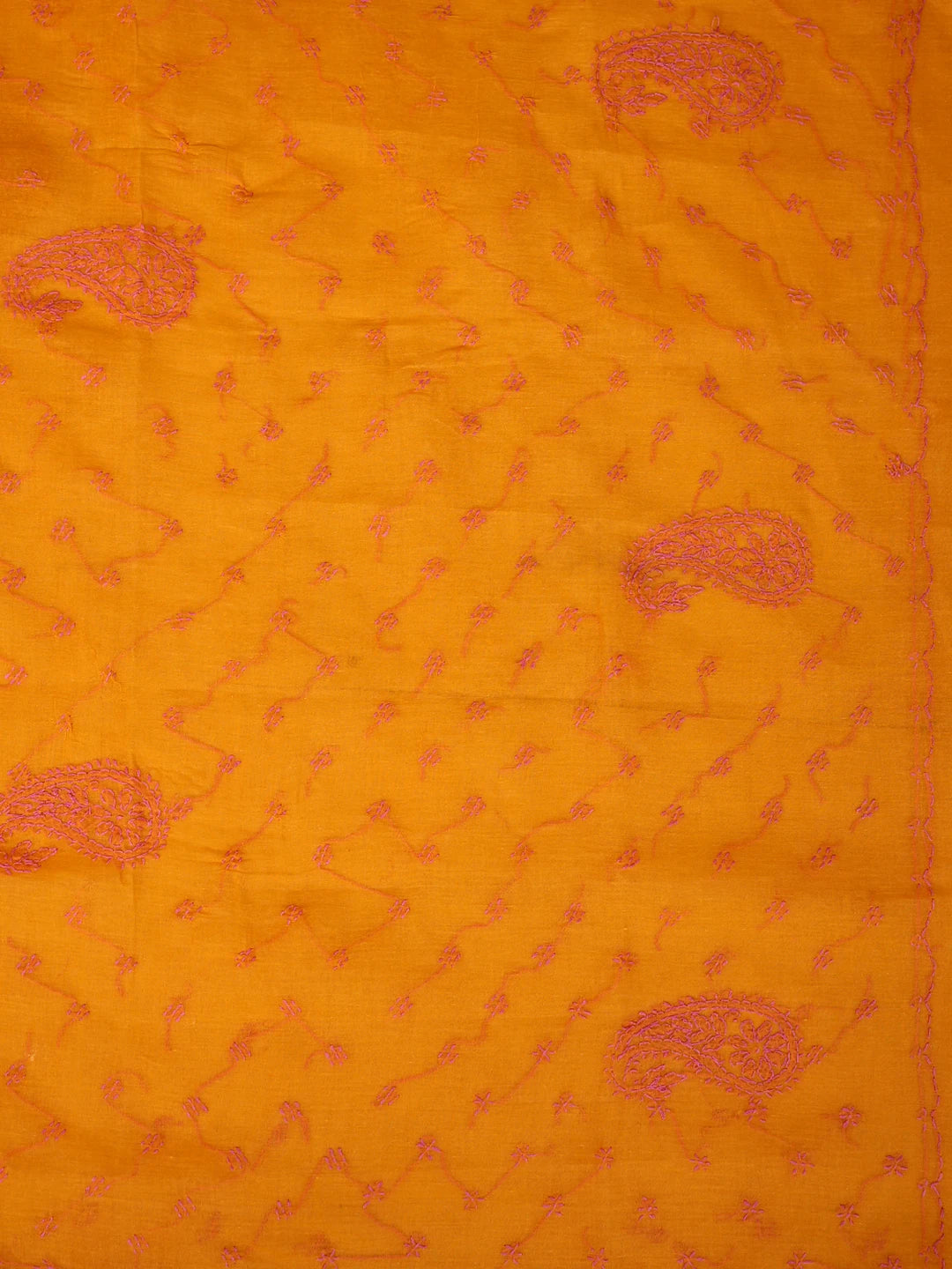 Ada Hand Embroidered Mustard Yellow Cotton Lucknowi Chikankari Saree and Blouse 01A882929