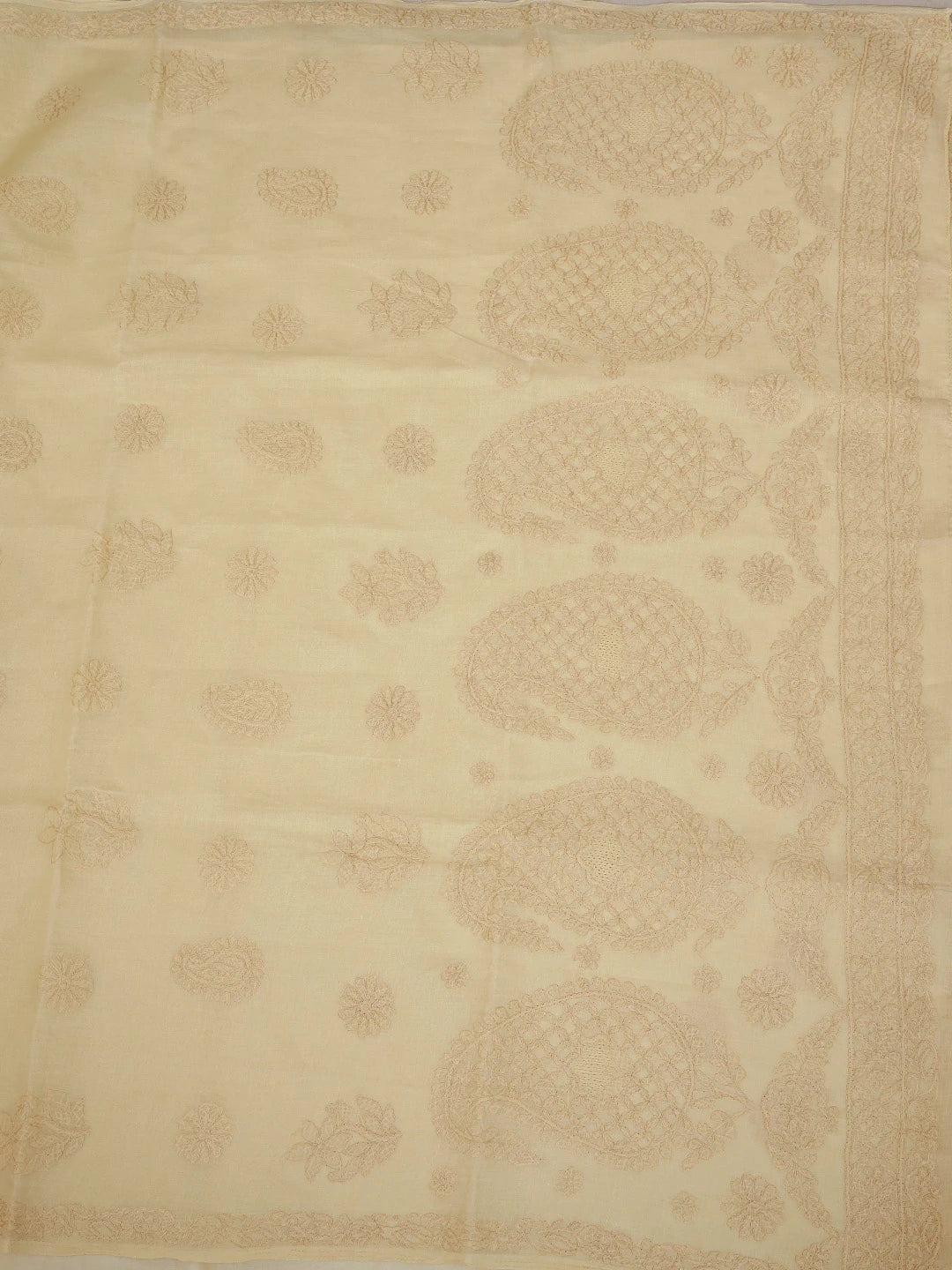 Ada Hand Embroidered Biscuit Yellow Cotton Lucknowi Chikankari Saree and Blouse 01A872867