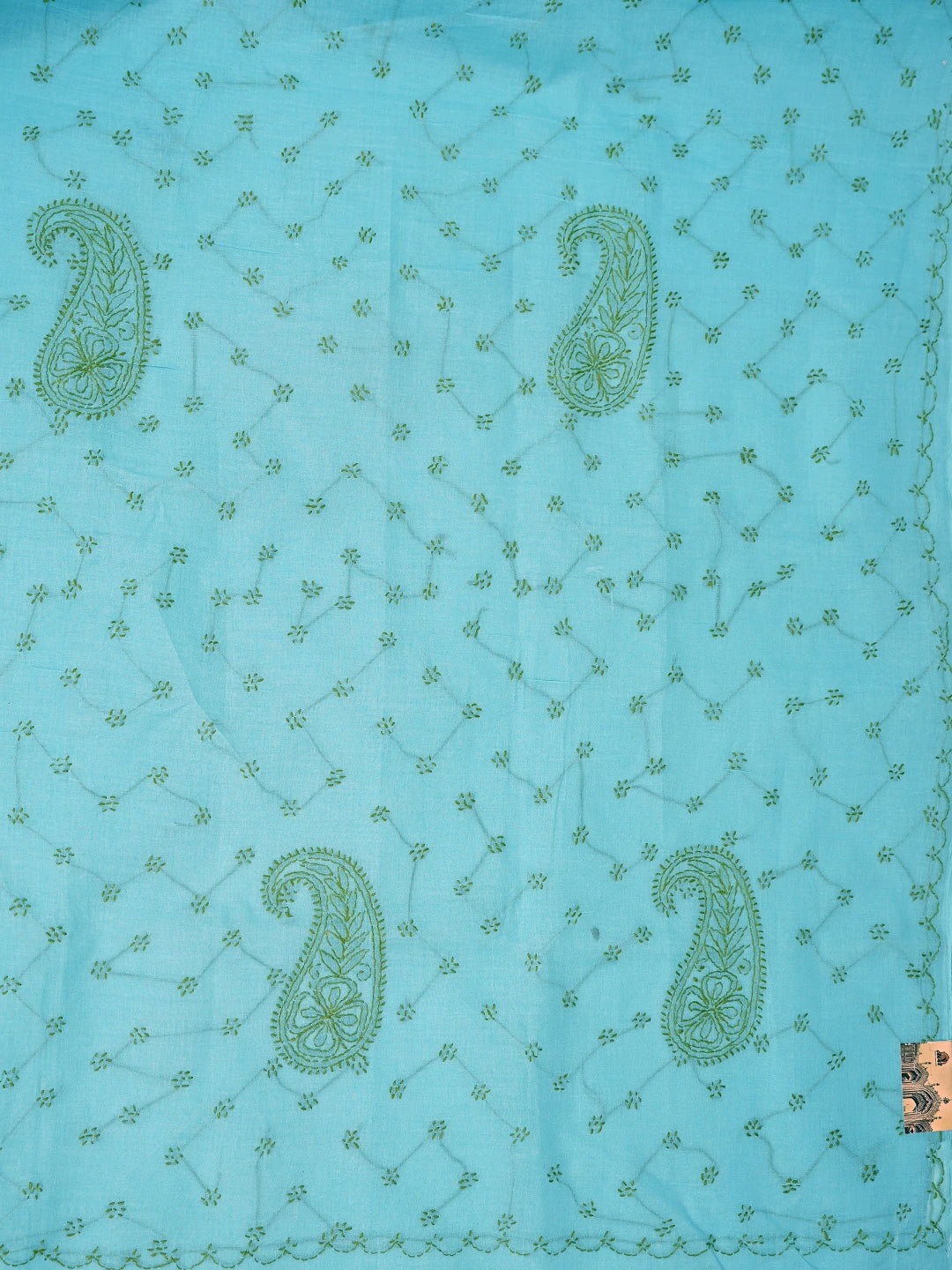 Ada Hand Embroidered Blue Cotton Lucknowi Chikankari Saree and Blouse 01A882894