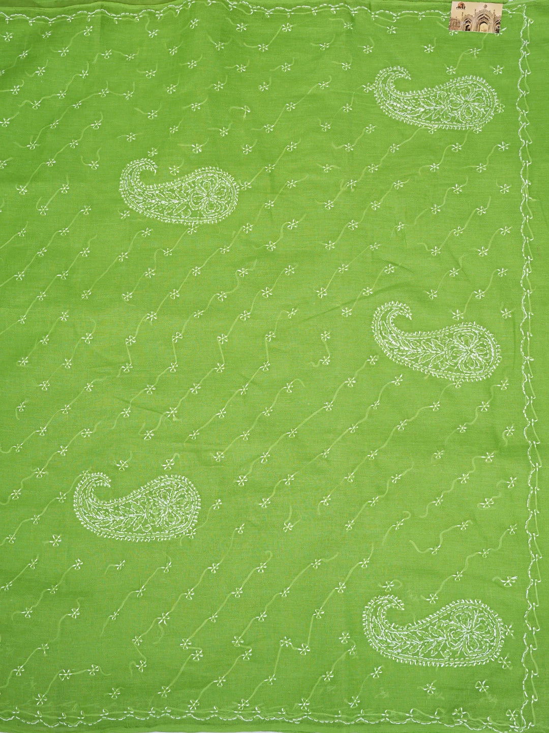 Ada Hand Embroidered Green Cotton Lucknowi Chikankari Saree and Blouse 01A882864