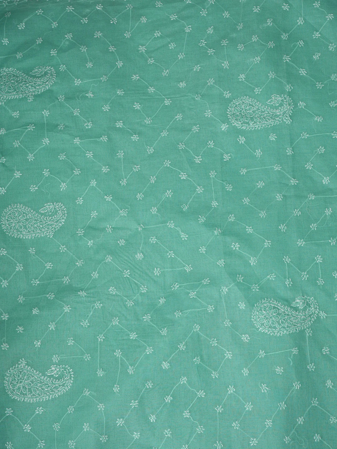 Ada Hand Embroidered Sea Green Cotton Lucknowi Chikankari Saree and Blouse 01A882931