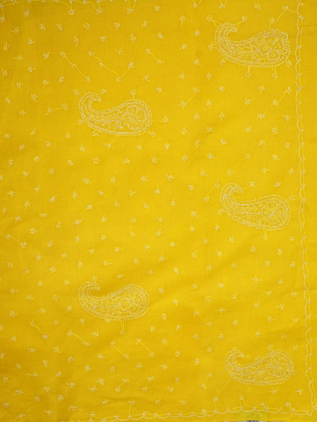 Ada Hand Embroidered Yellow Cotton Lucknowi Chikankari Saree and Blouse 01A882875