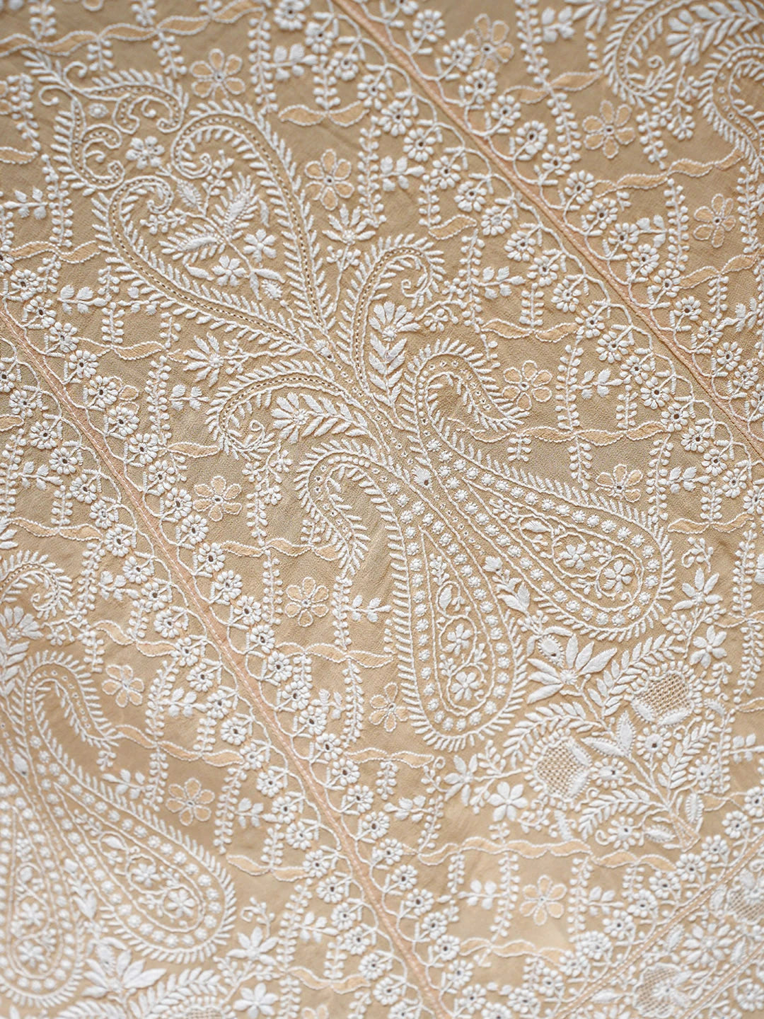Ada Hand Embroidered Fawn Pure Georgette Lucknowi Chikankari Lehenga Set 01A911353