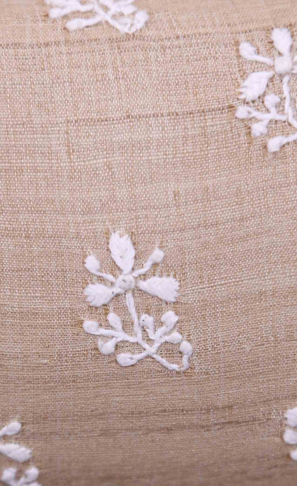 Ada Hand Embroidered Fawn Tusser Silk Lucknow Chikankari Clutch A549022