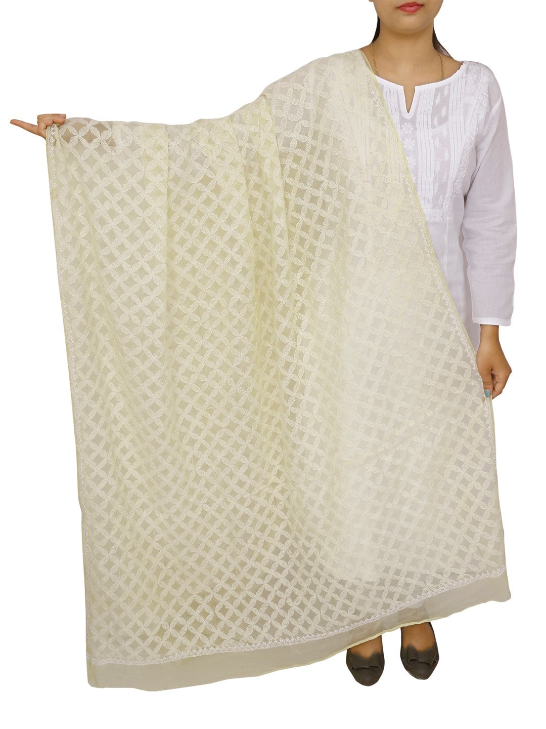 Ada Hand Embroidered Lemon Tissue Lucknowi Chikankari Dupatta- A586387
