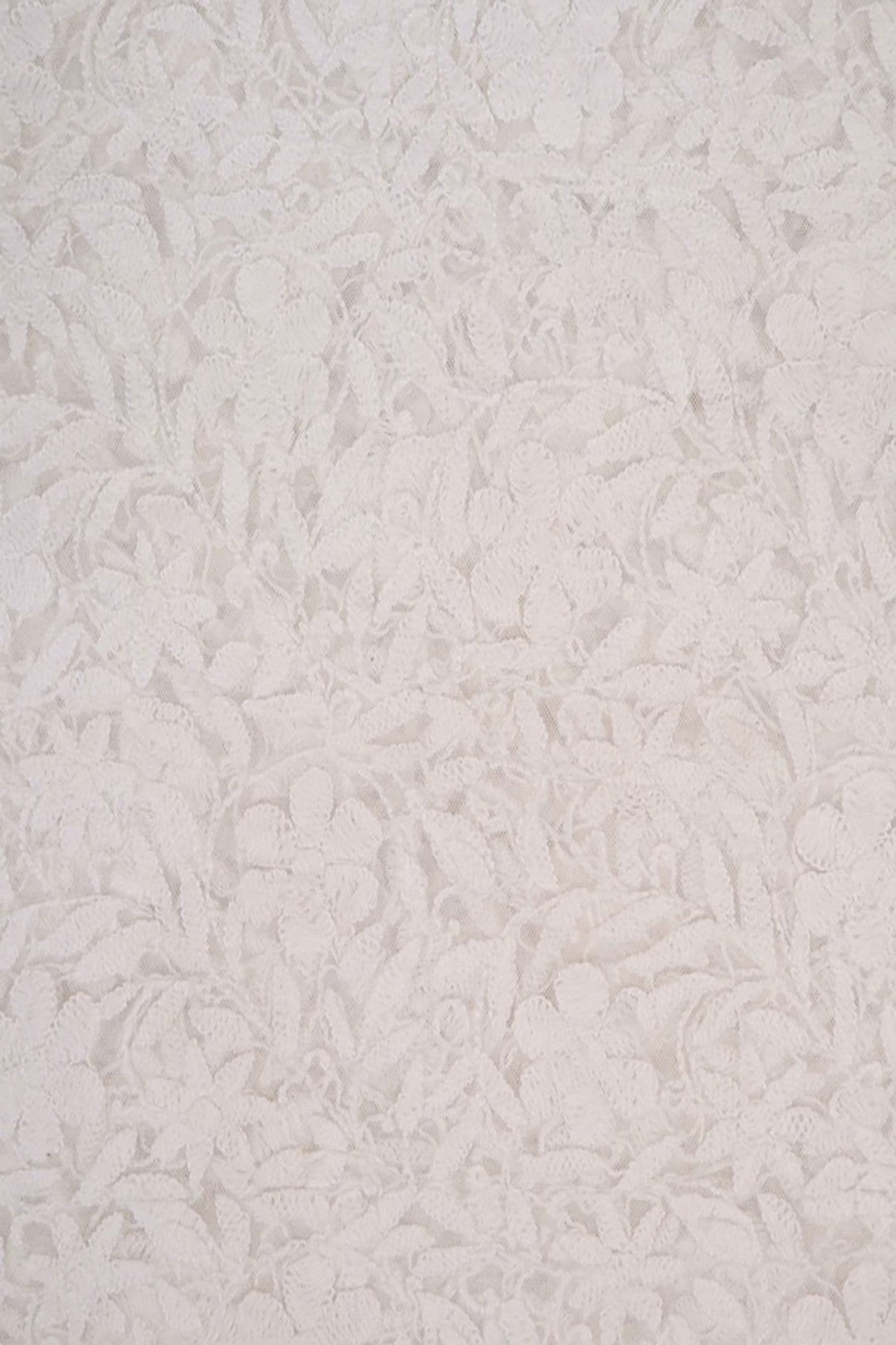 Ada Hand Embroidered White Net Lucknowi Chikankari Dupatta A567877