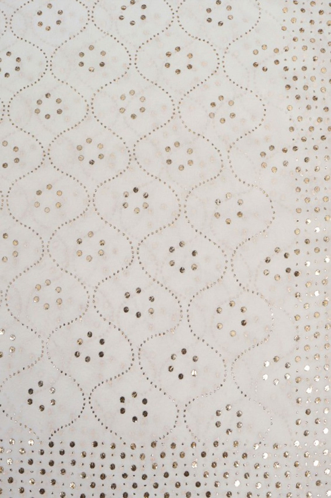 Ada Hand Embroidered White Pure Georgette Lucknowi Chikankari Dupatta With Muqaish Work A614196