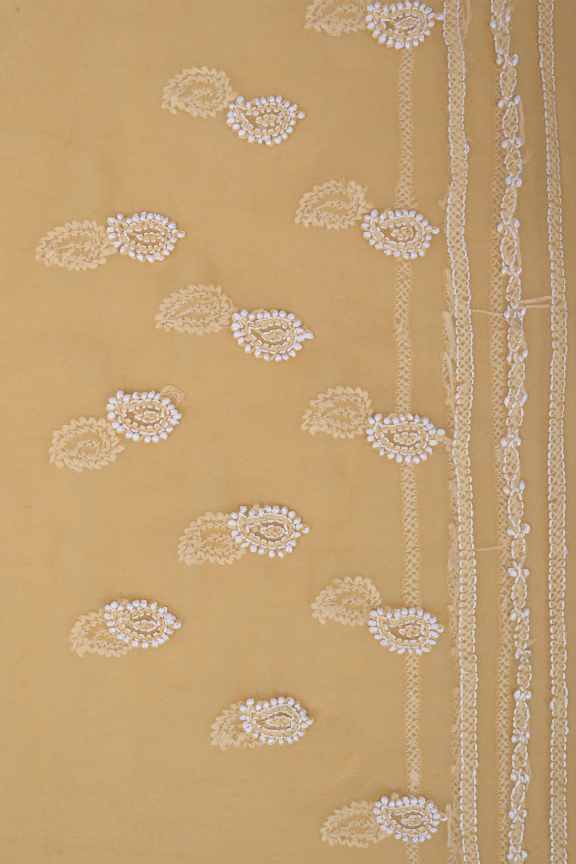 Ada Hand Embroidered Fawn Georgette Lucknowi Chikankari Saree With Blouse A521884