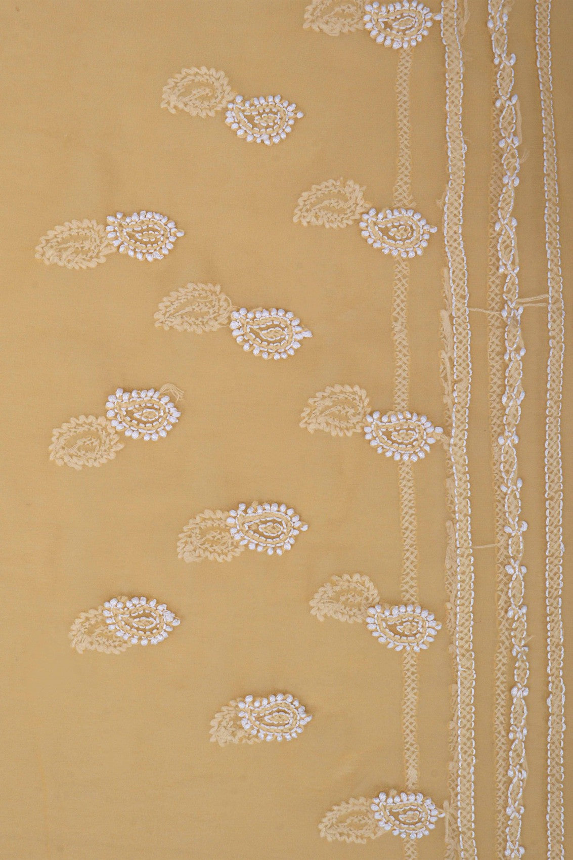 Ada Hand Embroidered Fawn Georgette Lucknowi Chikankari Saree With Blouse A521884
