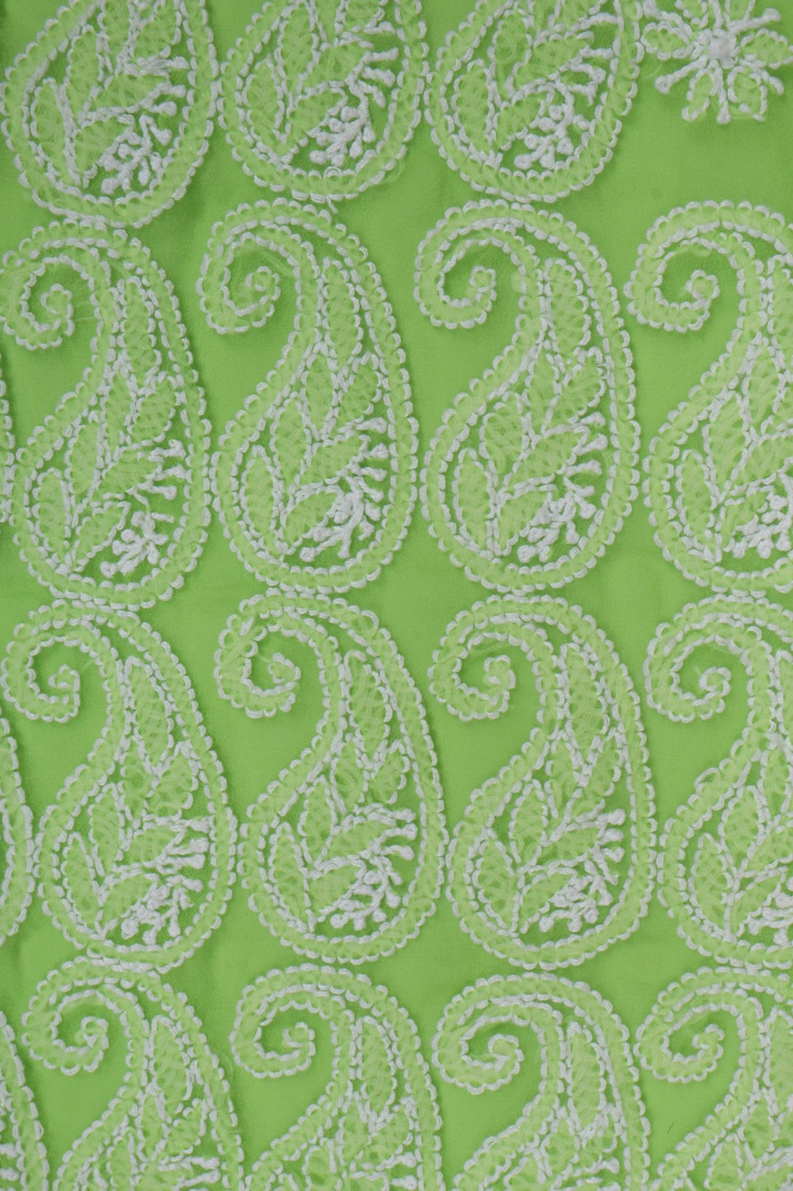 Ada Hand Embroidered Parrot Green Georgette Lucknowi Chikankari Saree With Blouse A599391
