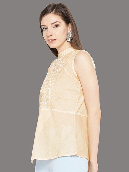 Ada Hand Embroidered Fawn Cotton Lucknowi Chikan Top A100076