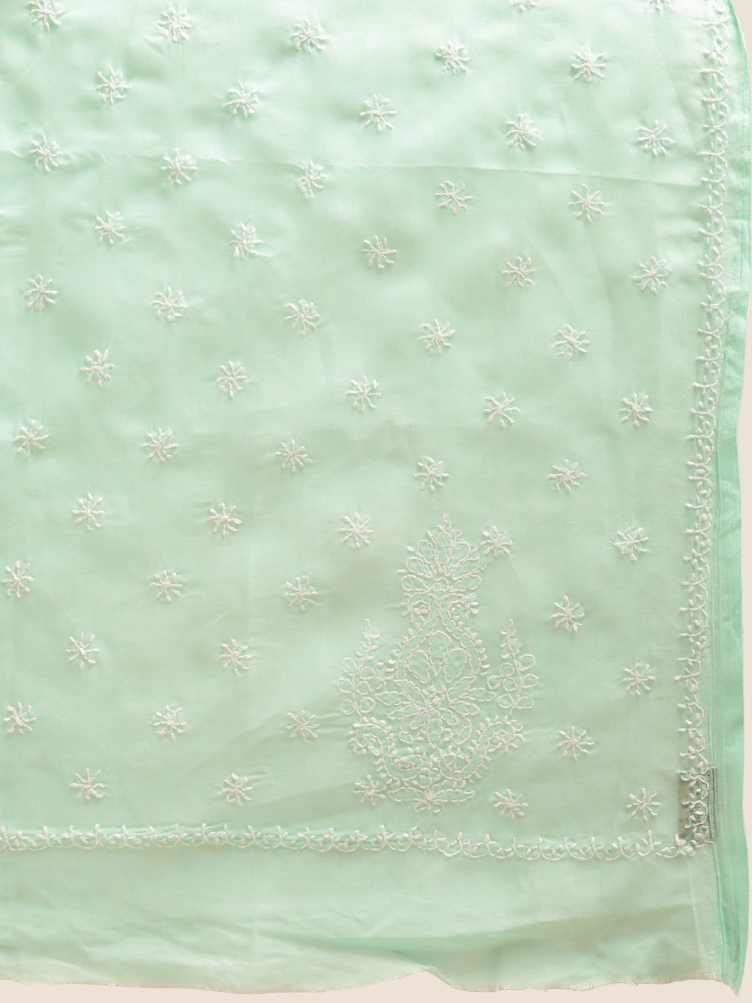Ada Hand Embroidered Sea Green Cotton Lucknow Chikan Saree With Blouse- A346154