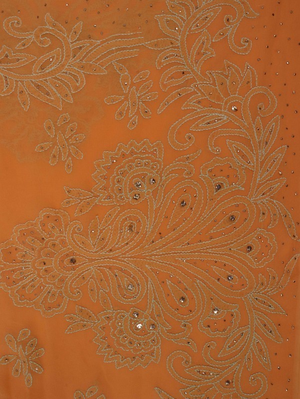 Ada Hand Embroidered Princeton Orange Pure Georgette Lucknowi Chikankari Saree/Blouse With Muqaish Work 01A82976
