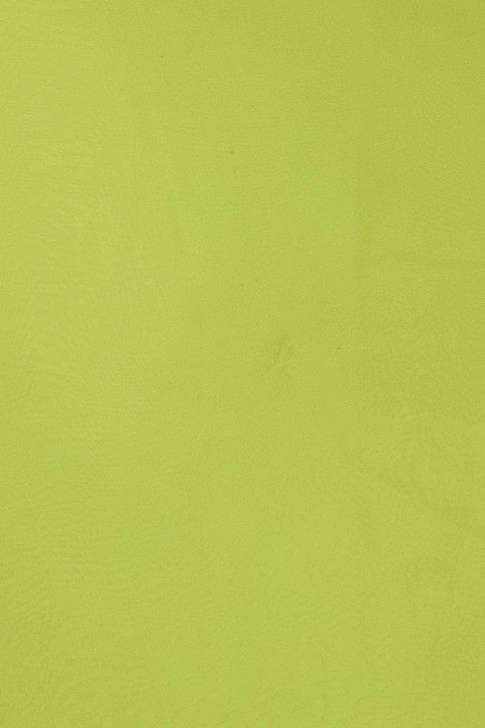 Ada Hand Embroidered Light Green Pure Georgette Lucknowi Chikankari Saree with Blouse  A310987