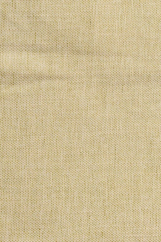 Ada Hand Embroidered Fawn Cotton Lucknowi Chikankari Dining Table Placemat 01A66082
