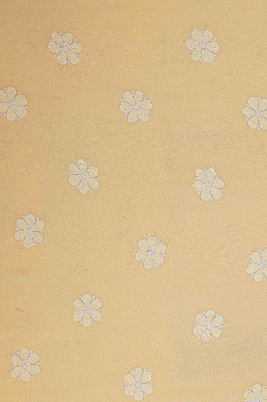 Ada Hand Embroidered Fawn Pure Georgette Lucknowi Chikankari Saree With Blouse- A425224