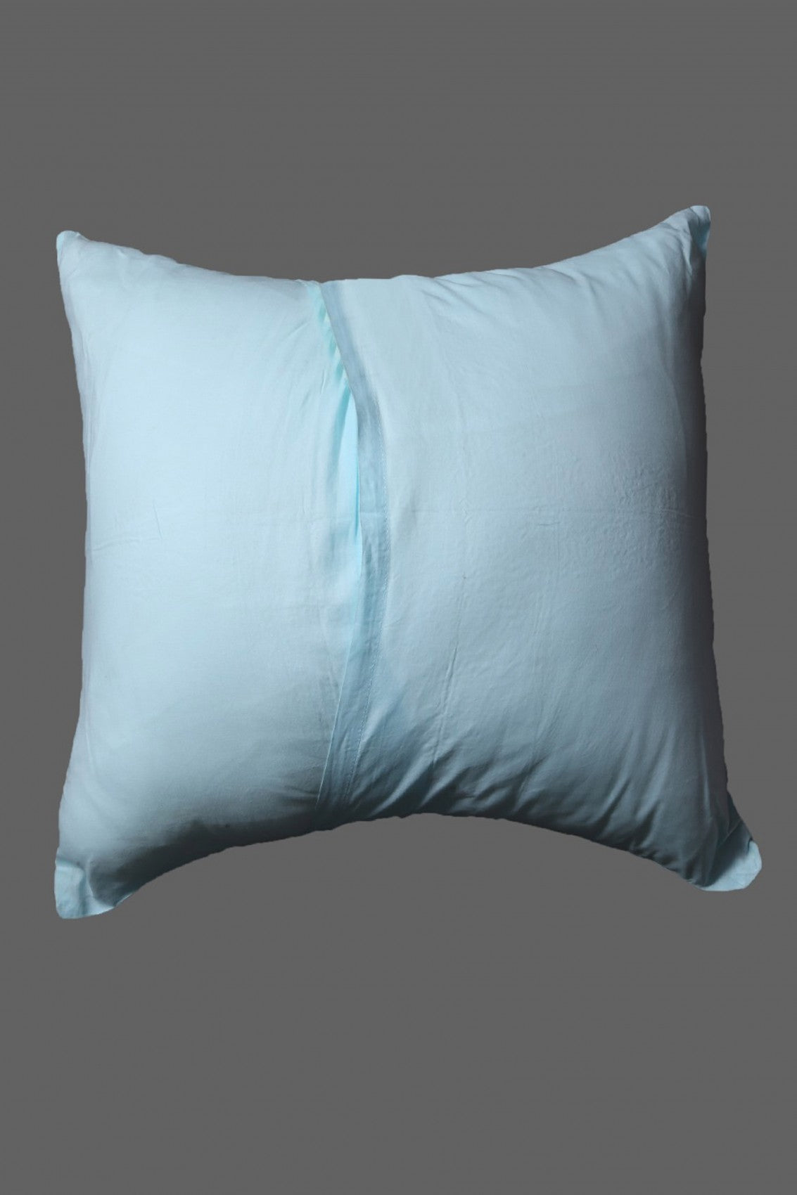 Ada Hand Embroidered Sky Blue Cotton Lucknowi Chikankari Cushion Cover Set of 2 01A122091