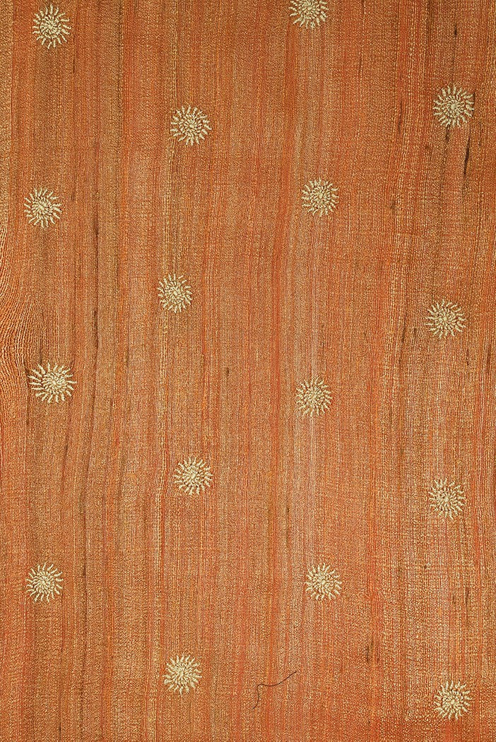 Ada Hand Embroidered Rust Chanderi Lucknowi Chikankari Saree With Blouse A581559