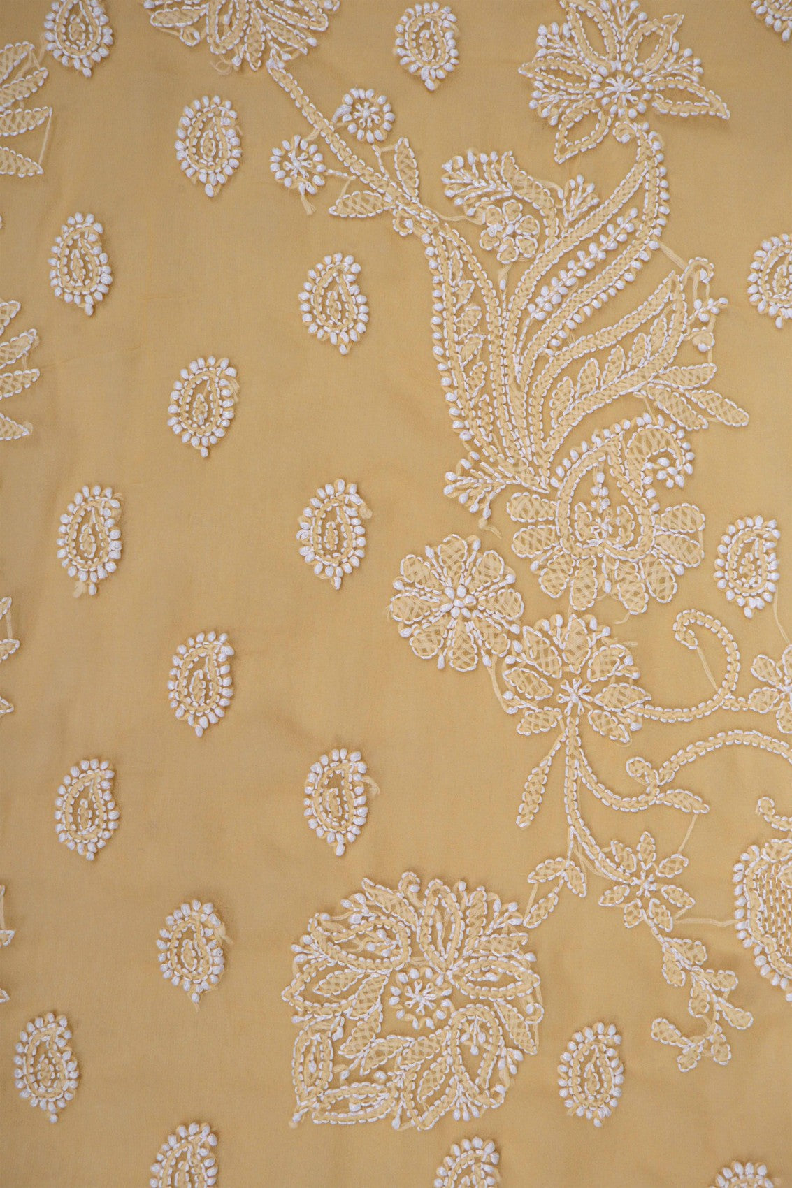 Ada Hand Embroidered Fawn Georgette Lucknowi Chikankari Saree With Blouse A521884