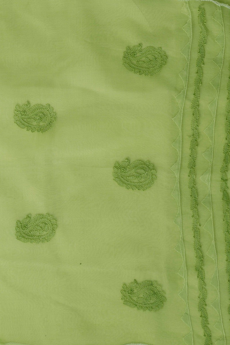 Ada Hand Embroidered Pear Green Organza Chikan Semi-stitched Kurta Piece A484760