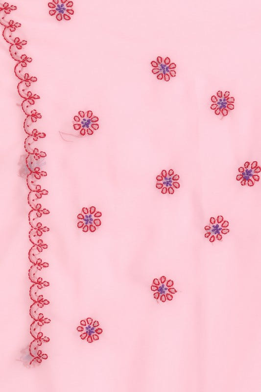 Ada Hand Embroidered Pink Georgette Lucknowi Chikankari Saree With Blouse A191575