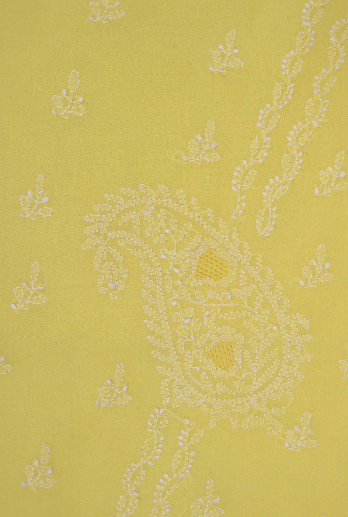 Ada Hand Embroidered Yellow Cotton Lucknow Chikankari Saree with Blouse A614074