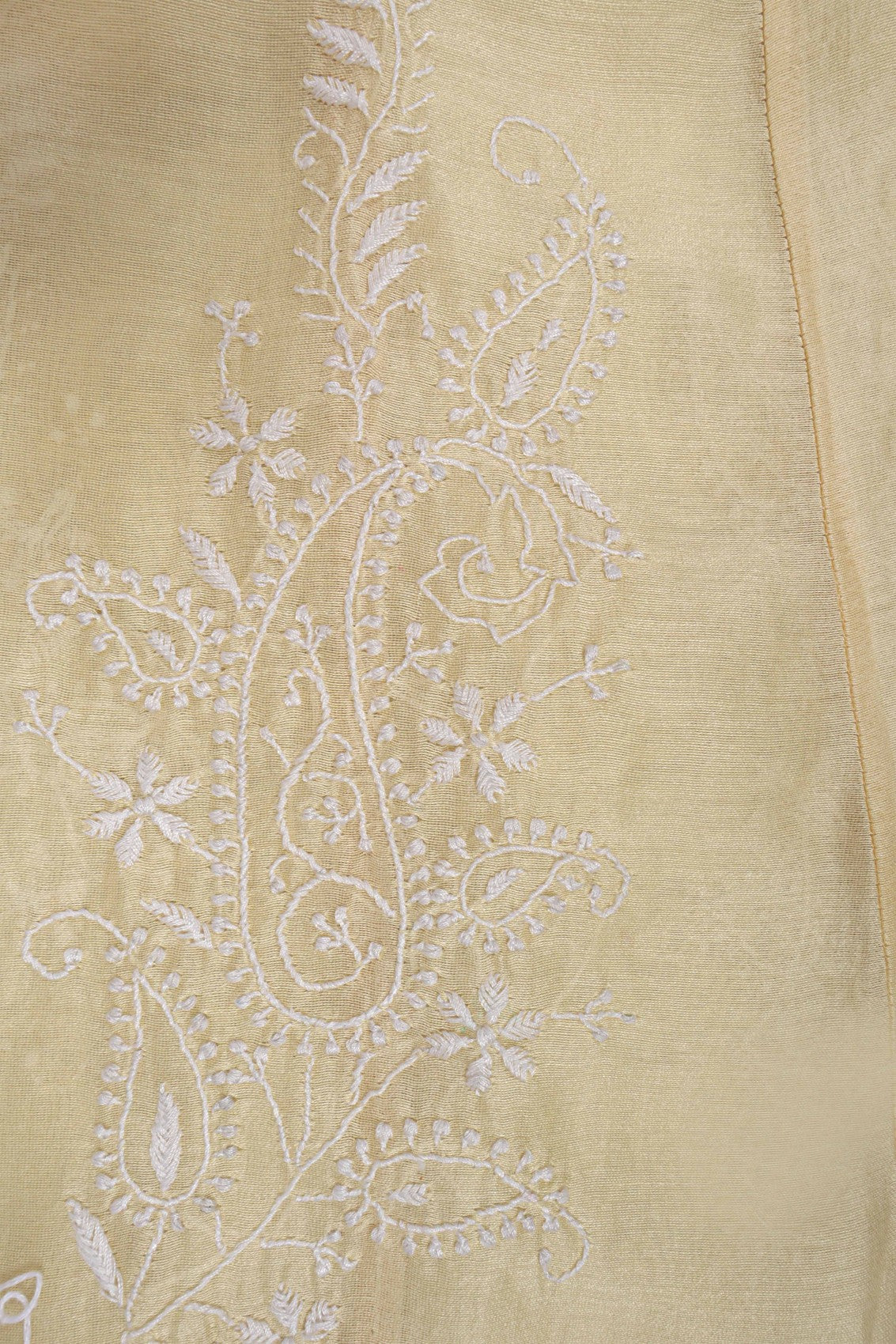 Ada Hand Embroidered Fawn Chanderi Lucknowi Chikankari Semi-Stitched Anarkali Kurta Dupatta Set 01A205808