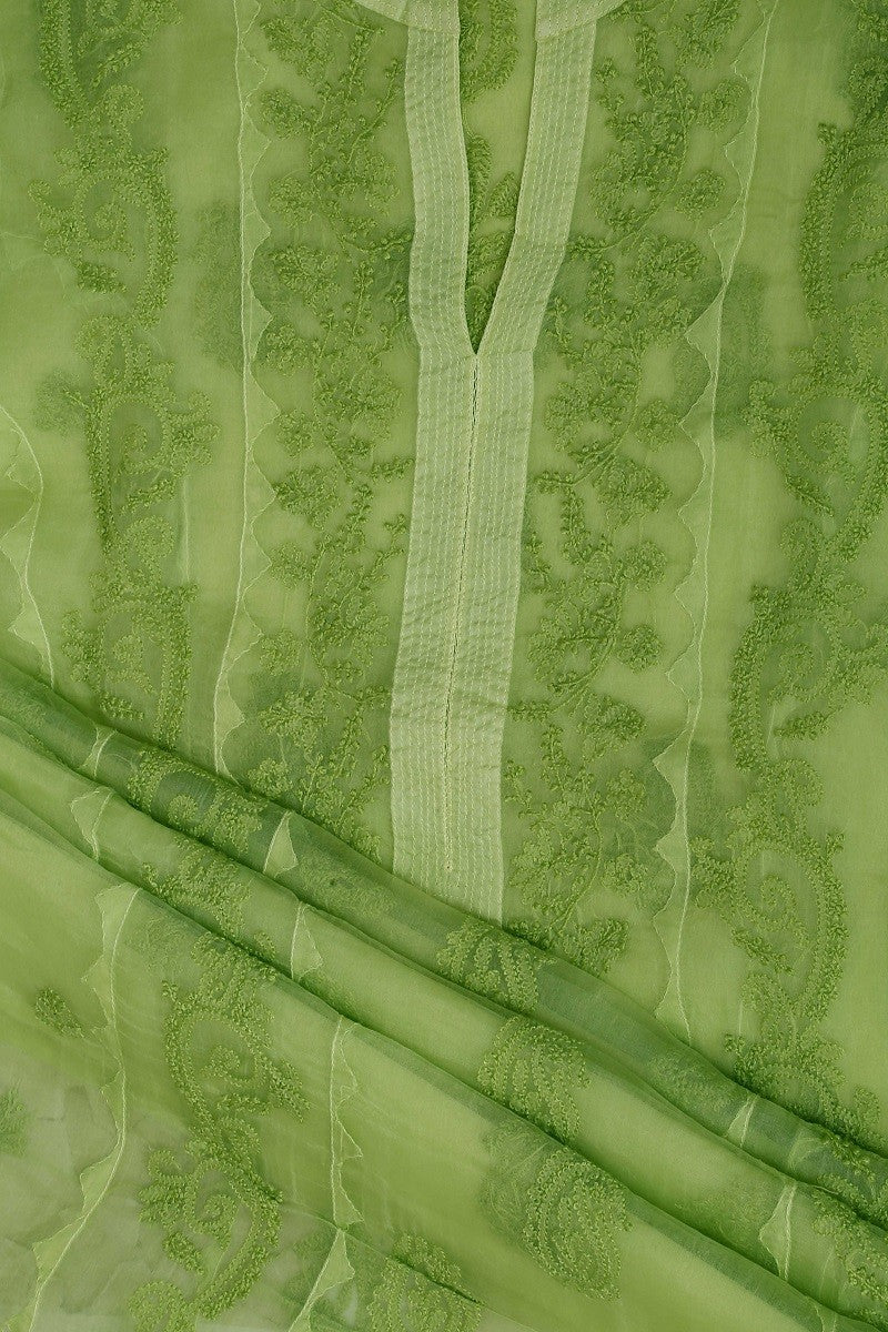 Ada Hand Embroidered Pear Green Organza Chikan Semi-stitched Kurta Piece A484760