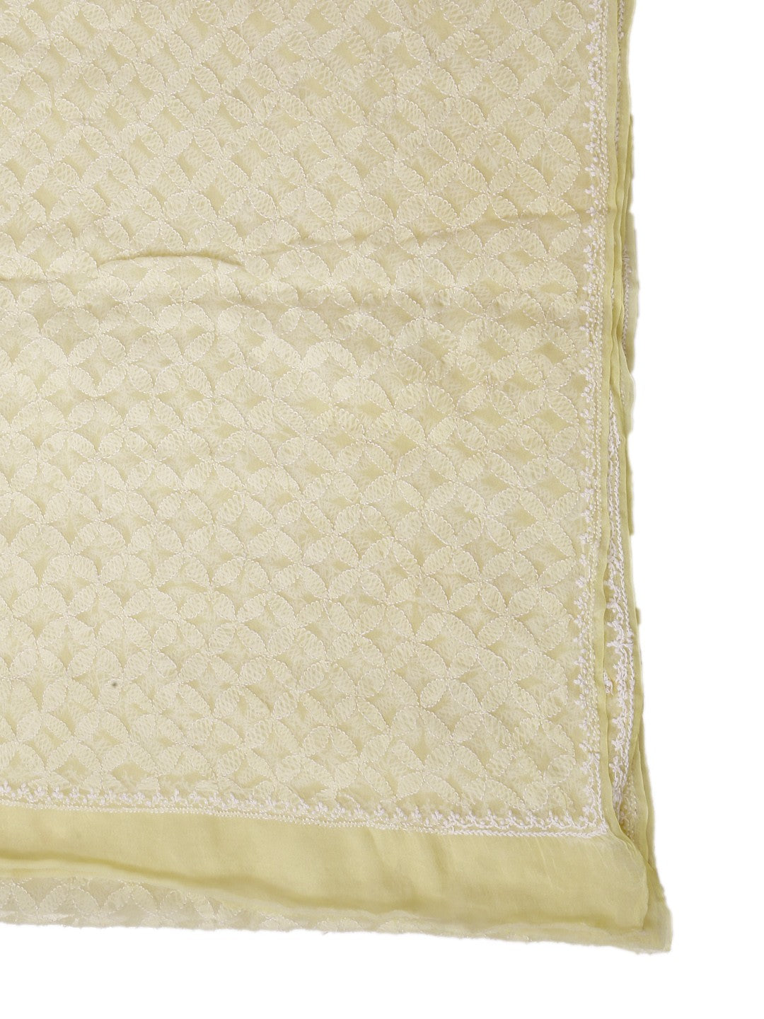 Ada Hand Embroidered Lemon Tissue Lucknowi Chikankari Dupatta- A586387