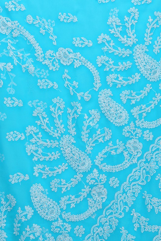 Ada Hand Embroidered Blue Georgette Lucknowi Chikankari  Saree with Blouse  A191647