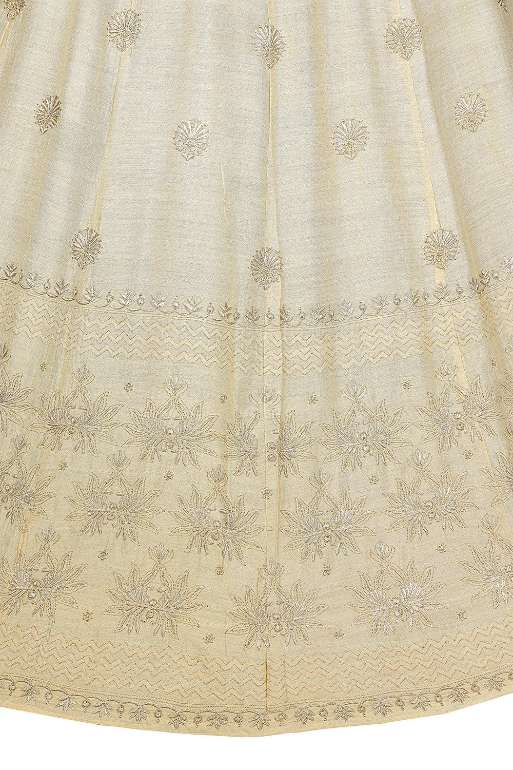 Ada Hand Embroidered Fawn Tusser Silk Lucknowi Chikankari Lehenga Skirt (only skirt) With Zari Work A585405