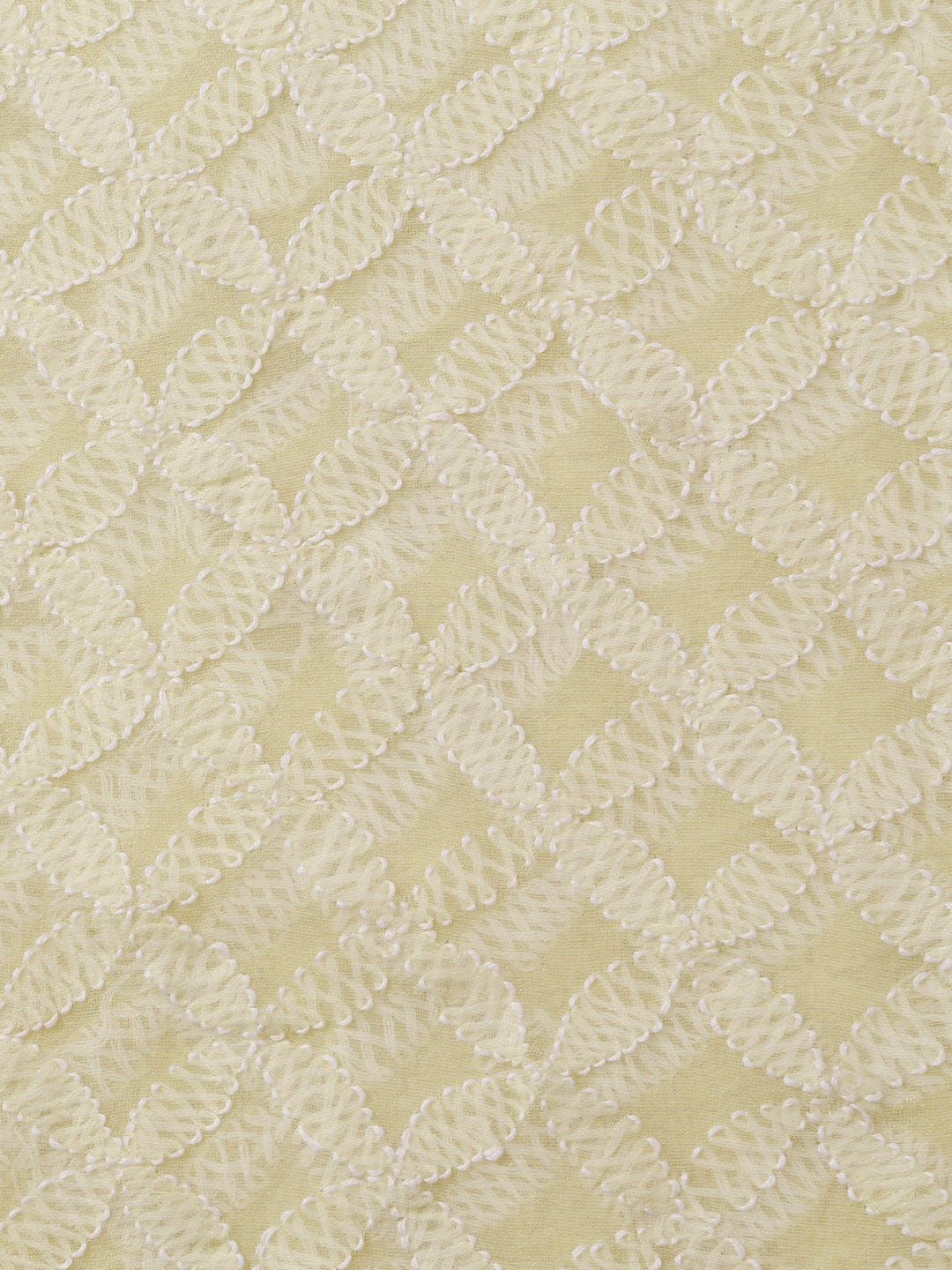 Ada Hand Embroidered Lemon Tissue Lucknowi Chikankari Dupatta- A586387