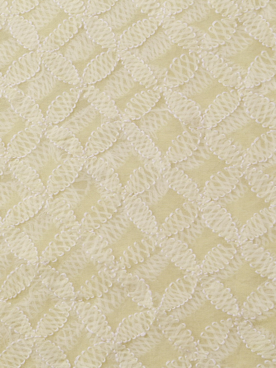 Ada Hand Embroidered Lemon Tissue Lucknowi Chikankari Dupatta- A586387